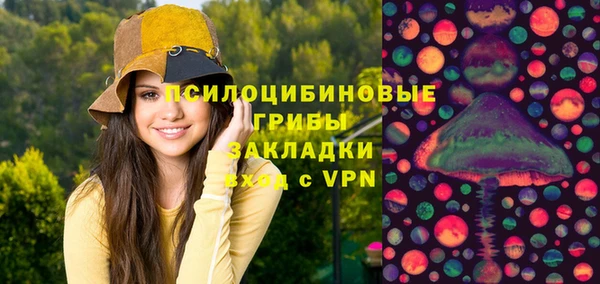 a pvp Алзамай